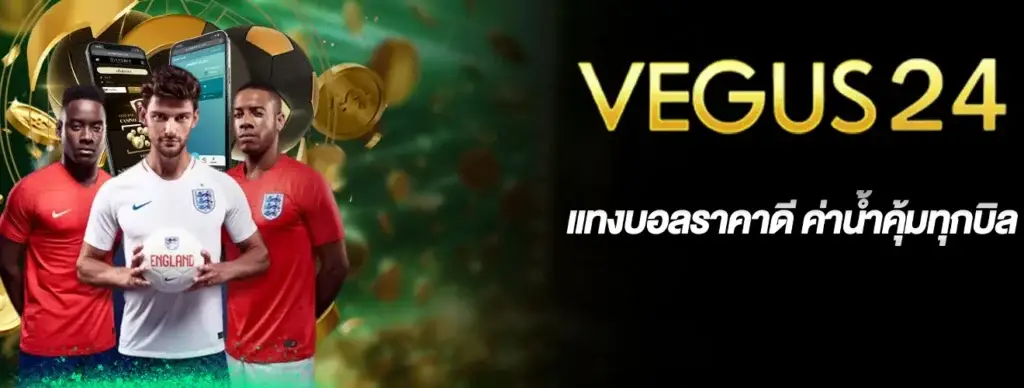 Vegus24 offers good odds on football matches